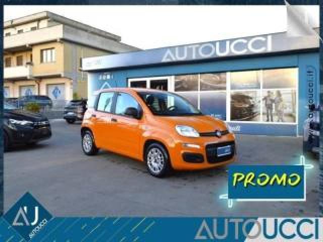 Fiat Panda 1.0 Firefly S&s Hybrid 70 Cv 