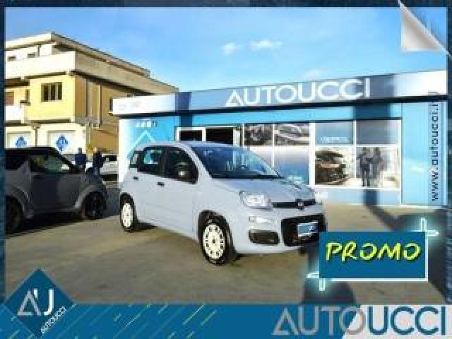 Fiat Panda 1.2 Easypower Gpl Easy 69 Cv 