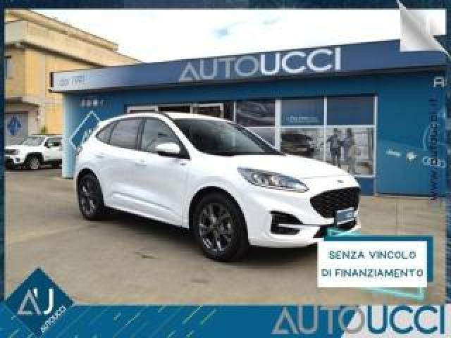 Ford Kuga 1.5 Ecoboost 150 Cv St-Line 2wd 