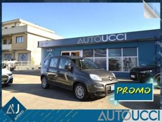 Fiat Panda 1.0 Firefly S&s Hybrid City Life 5 Posti 