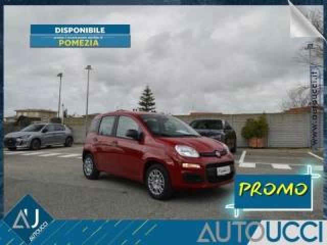 Fiat Panda 1.0 Firefly S&s Hybrid Icon Km Zero 