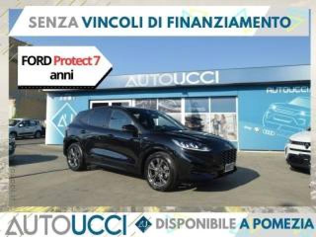 Ford Kuga 1.5 Ecoblue 120 Cv St-Line 2wd Gasolio 