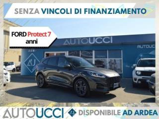 Ford Kuga 1.5 Ecoboost 2wd 150 Cv St-Line  