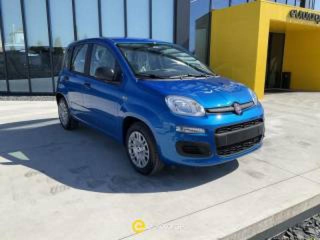 Fiat Panda 1.0 Firefly S&s Hybrid Icon 
