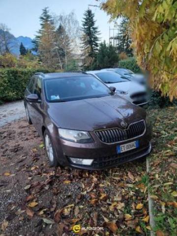 Skoda Octavia 1.6 Tdi Cr 105 Cv Wagon Active 