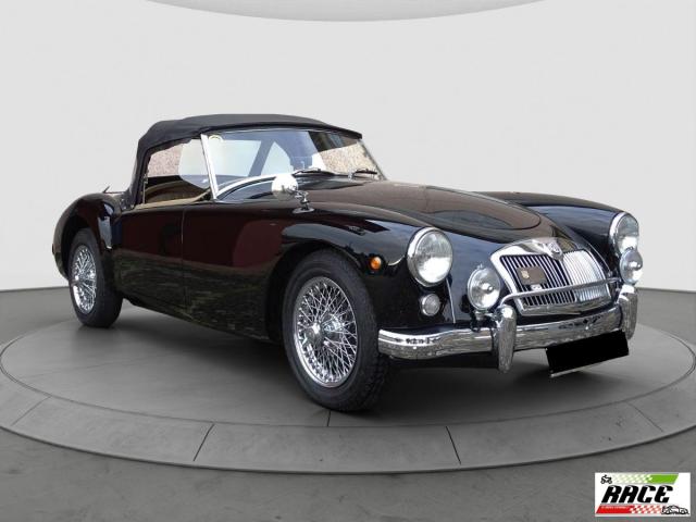 Mg