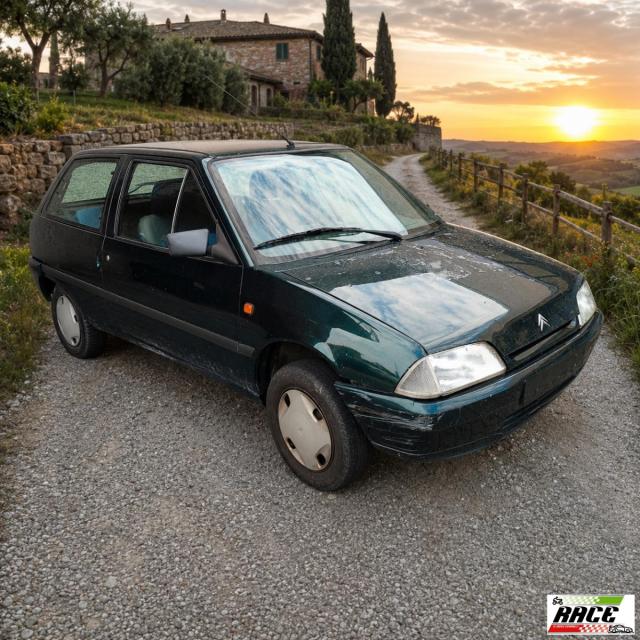 Citroen Ax 