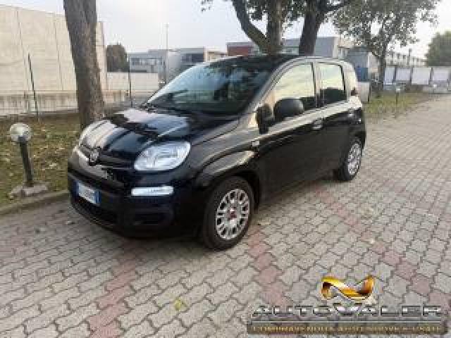 Fiat Panda 1.0 Firefly S&s Hybrid 5 Posti 