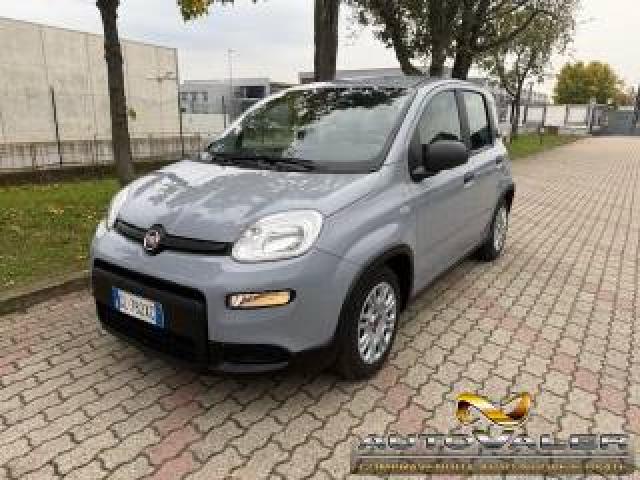 Fiat Panda 1.0 Firefly S&s Hybrid,apple Carplay 