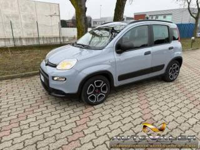 Fiat Panda 1.0 70cv S&s Hybrid City Life 
