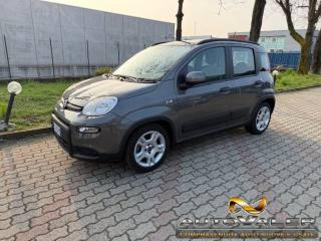 Fiat Panda 1.0 Firefly Hybrid City Life S&s 70cv 5p.ti 