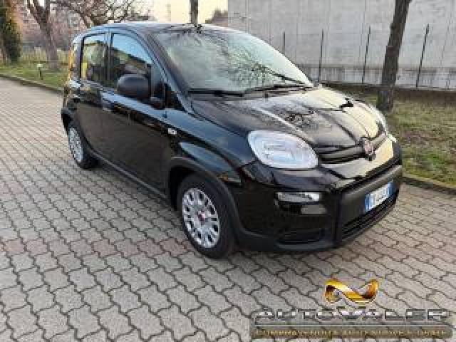 Fiat Panda 1.0 Firefly S&s Hybrid City Life Km5800 