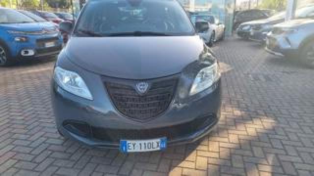 Lancia Ypsilon 1.2 69 Cv 5 Porte Elefantino 