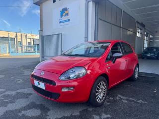Fiat Punto 1.2 8v 5 Porte Young   ** Neopatentati ** 