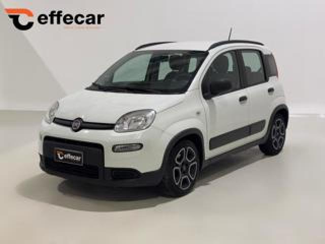 Fiat Panda 1.0 Firefly S&s Hybrid Sport 