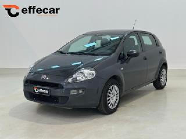 Fiat Punto 1.2 8v 5 Porte Street 