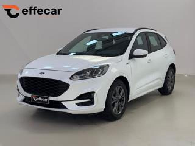 Ford Kuga 1.5 120 Cv Aut. St-Line Iva Esposta 