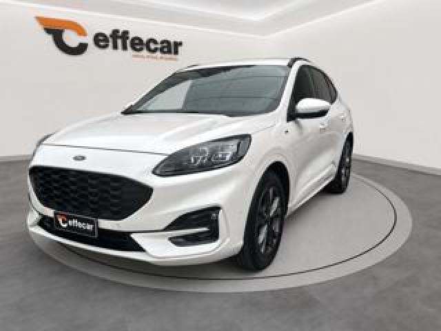 Ford Kuga 1.5 Ecoblue 120 Cv Aut. St-Line X 