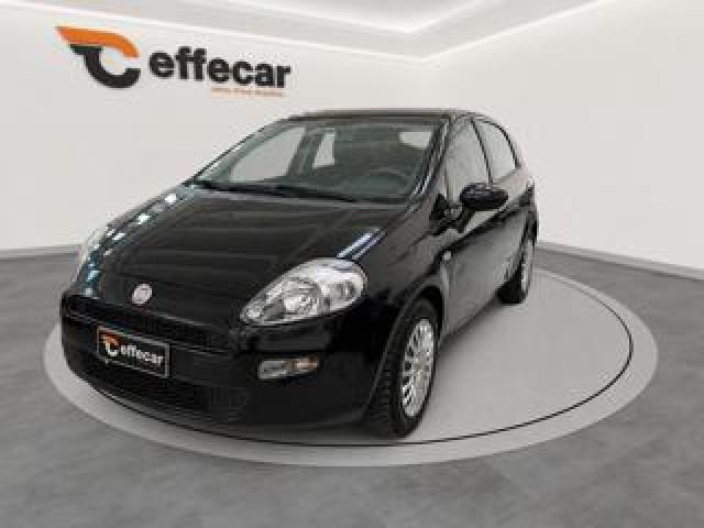 Fiat Punto 1.2 8v 5 Porte Lounge 