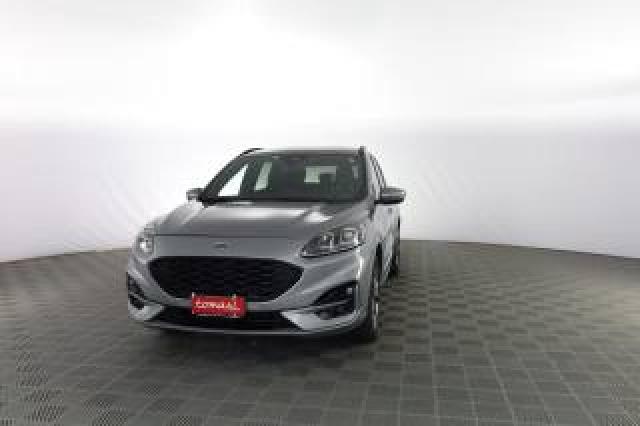 Ford Kuga Kuga 1.5 Ecoblue 120 Cv Aut. 2wd St-Line 
