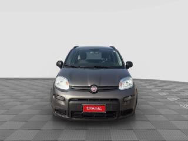 Fiat Panda Panda 1.0 Firefly Hybrid City Life 