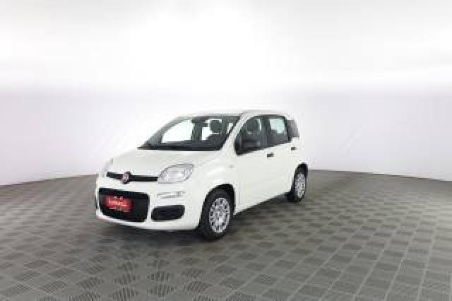 Fiat Panda Pandina 1.0 Firefly 65 Cv Hybrid Icon 