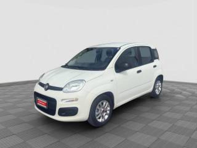 Fiat Panda Panda 1.2 Easypower Easy 
