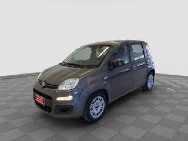 Fiat Panda Panda 1.0 Firefly Hybrid 