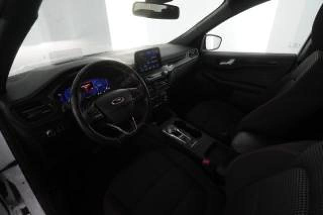 Ford Kuga Kuga 1.5 Ecoblue 120 Cv Aut. 2wd St-Line 
