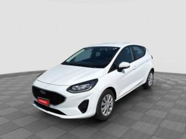 Ford Fiesta Fiesta 1.1 75 Cv 5 Porte Plus 