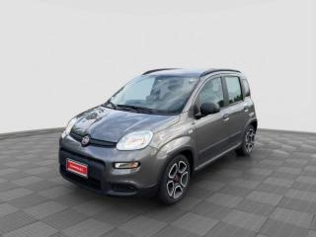 Fiat Panda Panda 1.0 Firefly Hybrid City Life 