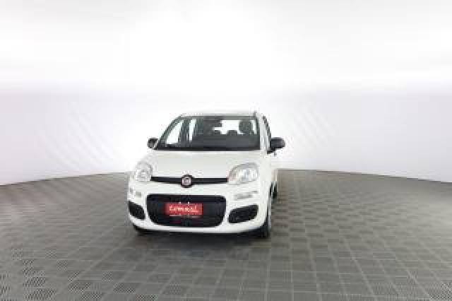 Fiat Panda Pandina 1.0 Firefly 65 Cv Hybrid Icon 