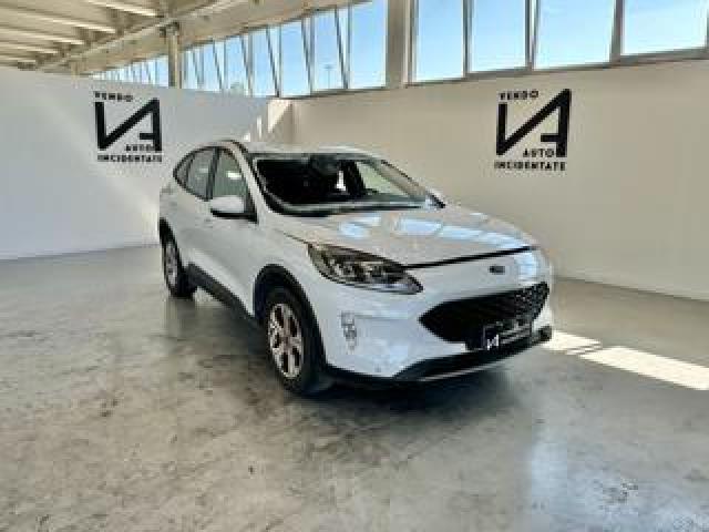 Ford Kuga 1.5 Ecoblue 120cv 2wd Connect 
