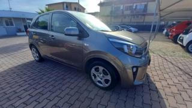 Kia Picanto 1.0 12v Ecogpl 5 Porte City 