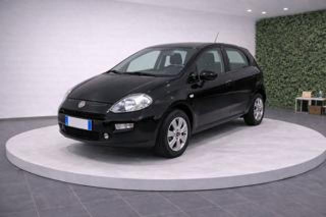 Fiat Punto Evo 1.2 8v 65cv 5 Porte Active 