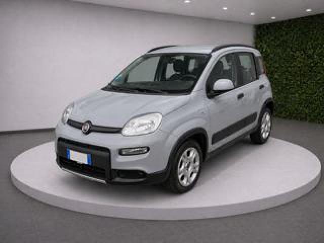 Fiat Panda Iii 1.0 Firefly 70cv S&s Hybrid City Life 
