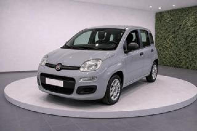 Fiat Panda Iii 1.2 8v 69cv Easy 5 Posti 