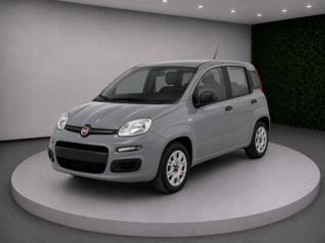 Fiat Panda Iii 1.0 Firefly 70cv S&s Hybrid Easy 