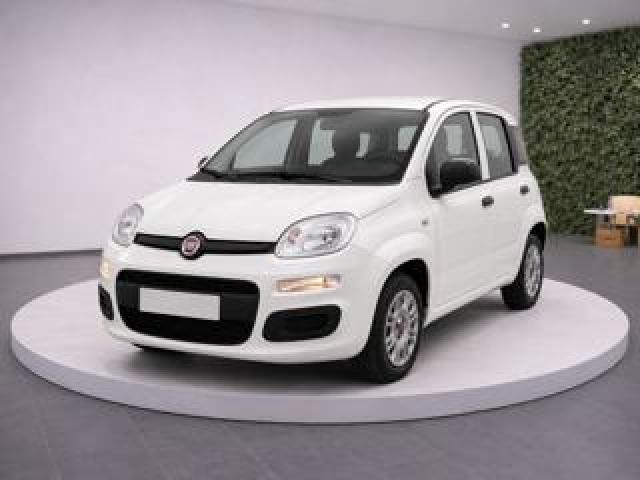 Fiat Panda Iii 1.0 Hy Firefly 70cv S&s Easy 