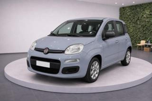 Fiat Panda Iii 1.0 Hy Firefly 70cv S&s Easy 