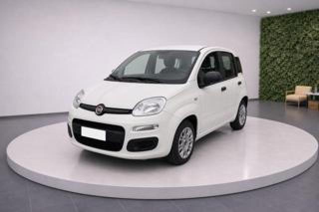 Fiat Panda Iii 1.0 Firefly 70cv S&s Hybrid Easy 