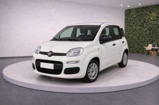 Fiat Panda Iii 1.0 Firefly 70cv S&s Hybrid Easy 