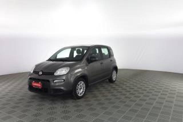 Fiat Panda Panda 1.0 Firefly S&s Hybrid 