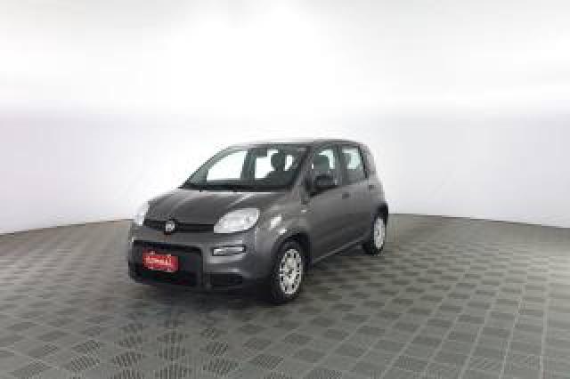 Fiat Panda Panda 1.0 Firefly Hybrid 