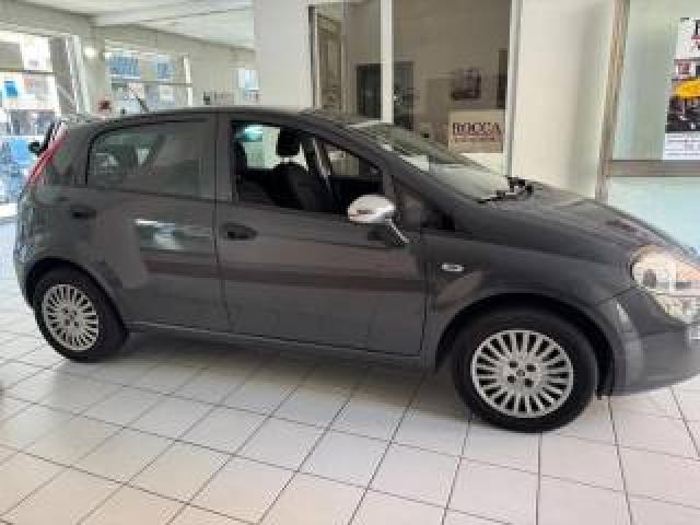 Fiat Punto 1.2 8v 5 Porte Street Gpl 