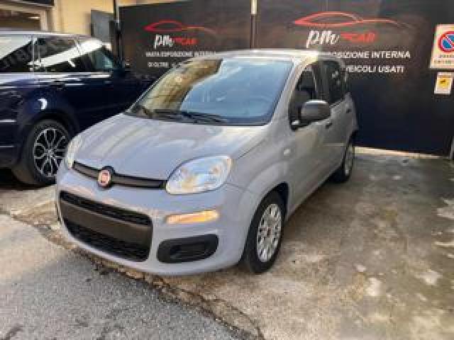 Fiat Panda 1.0 Firefly S&s Hybrid City Life 5 Posti 