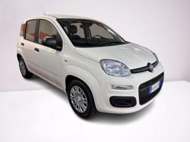 Fiat Panda 1.0 Firefly S&s Hybrid Pop 