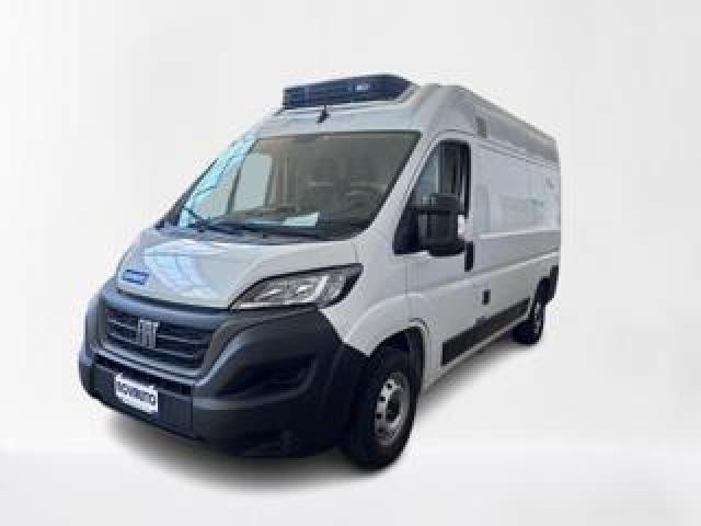 Fiat Ducato 30 2.2 Mjt 120cv Pm-Tm Furgone Frigo 