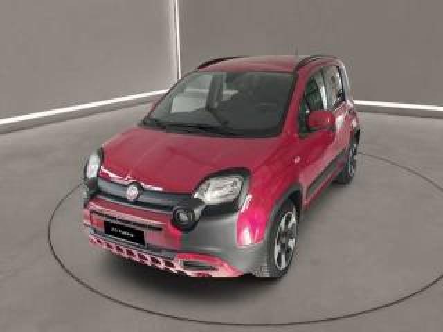 Fiat Panda Cross -  1.0 Firefly S&s Hybrid 