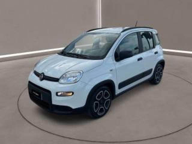 Fiat Panda 3ª Serie -  1.0 Firefly S&s Hybrid City Life 